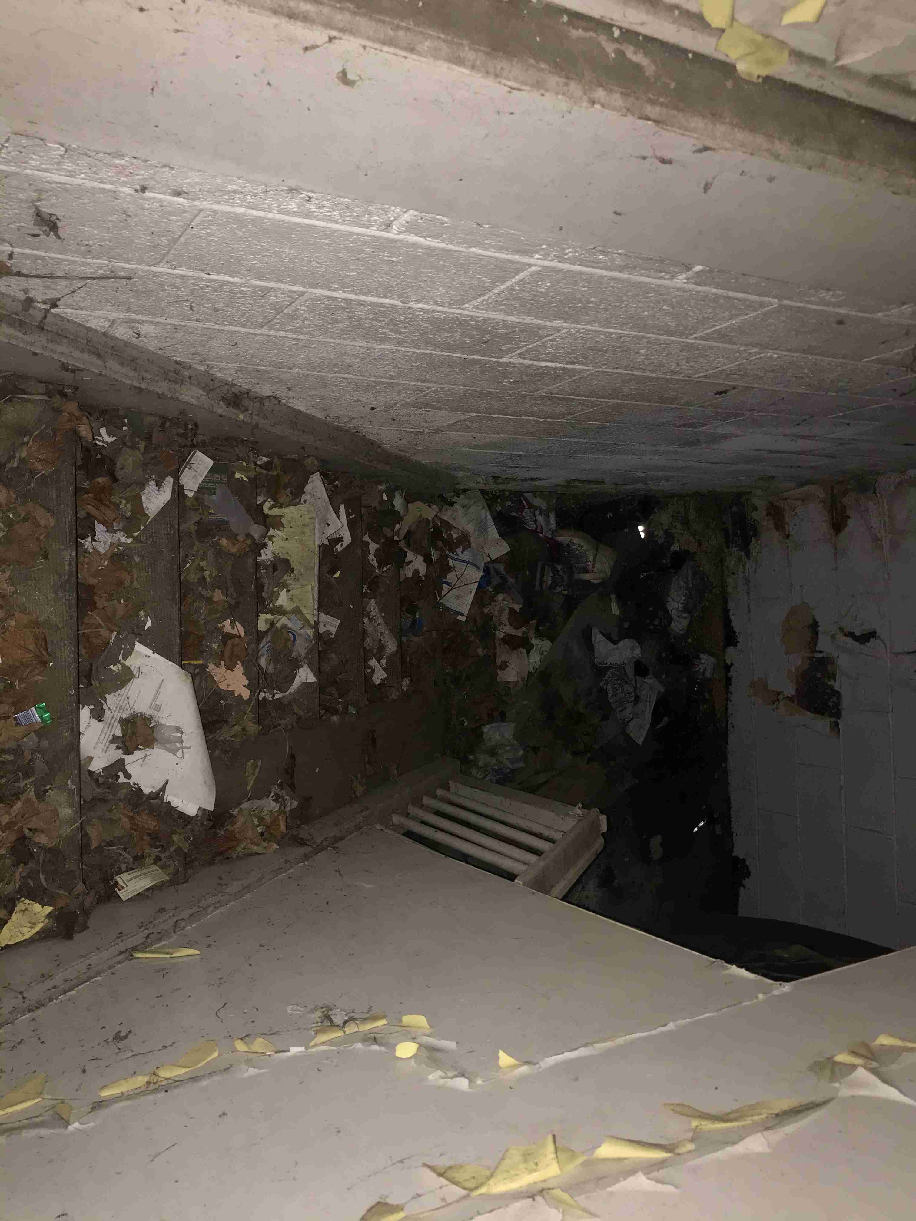 Photo Aug 21, 1 30 30 PM.jpg